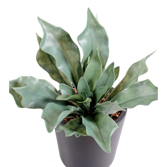 Plante artificielle Platycerium UV en piquet - fougère corne d'élan - H.25cm vert gris