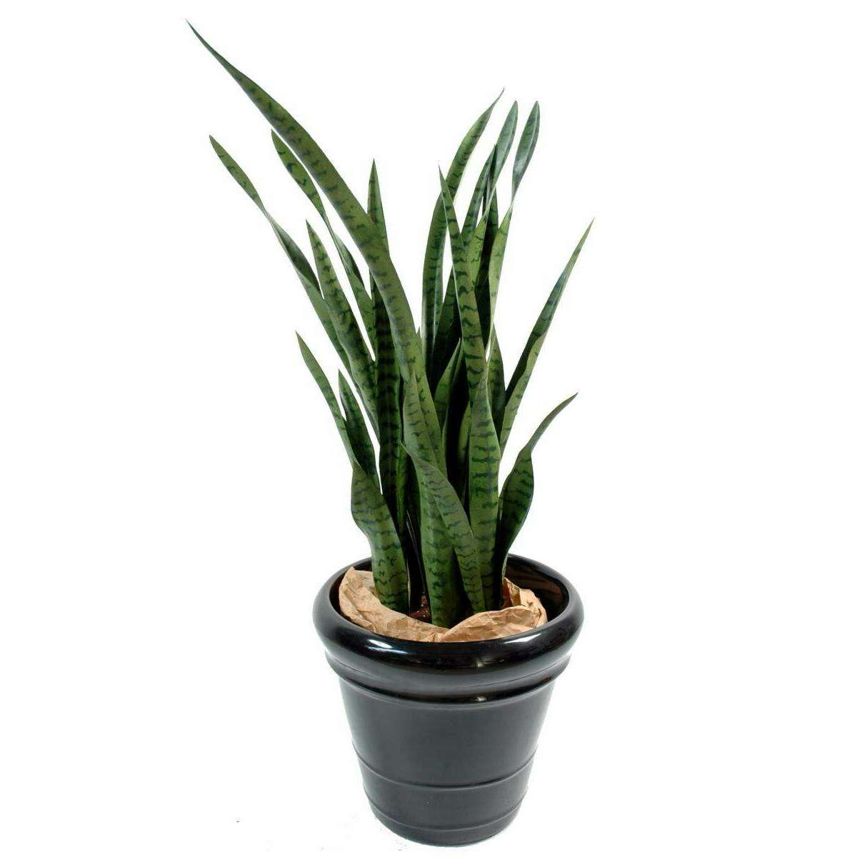 Plante artificielle Sansevieria 30 Feuilles - succulente pour intérieur - H. 110cm vert