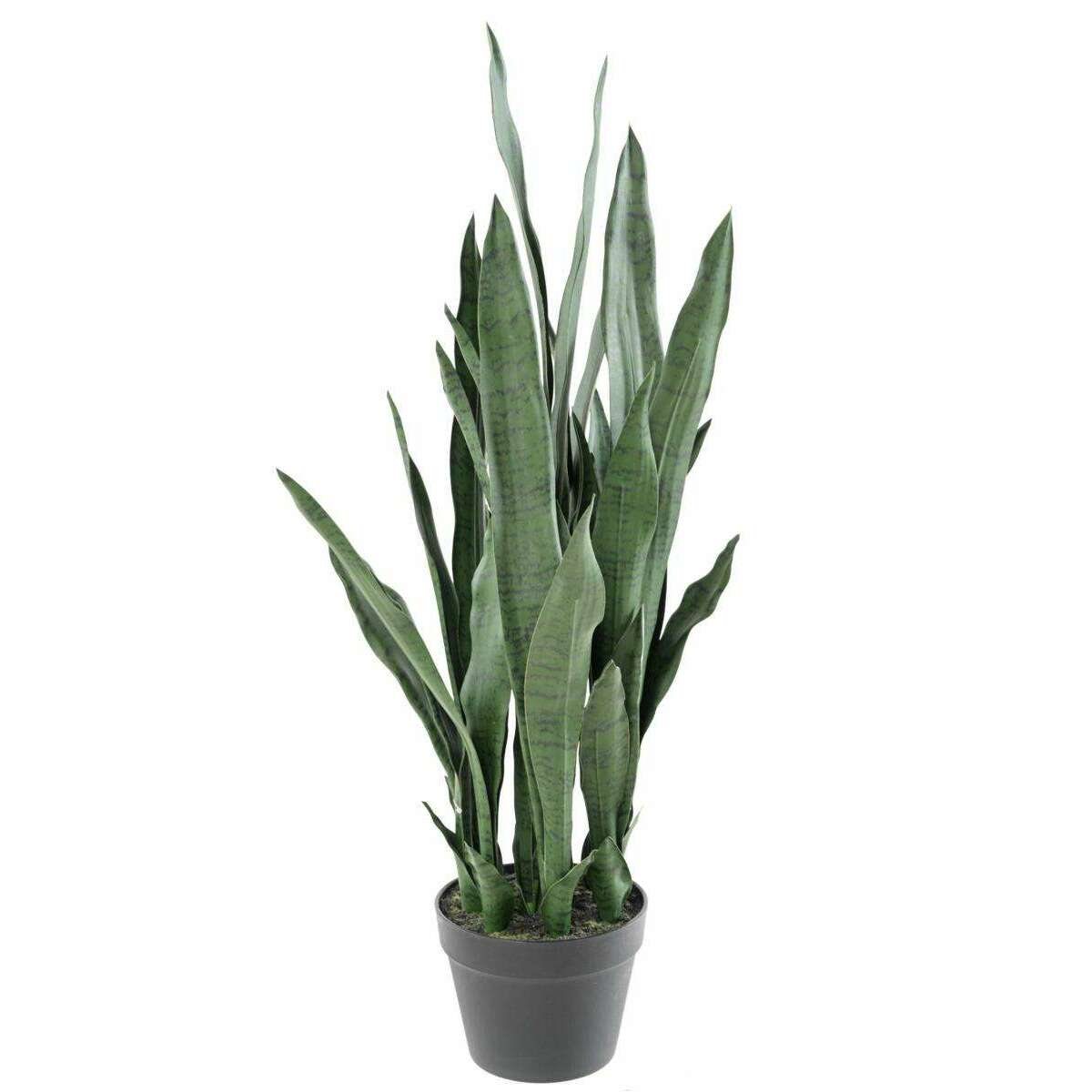 Plante artificielle Sansevieria 32 Feuilles - succulente pour intérieur - H.85cm vert