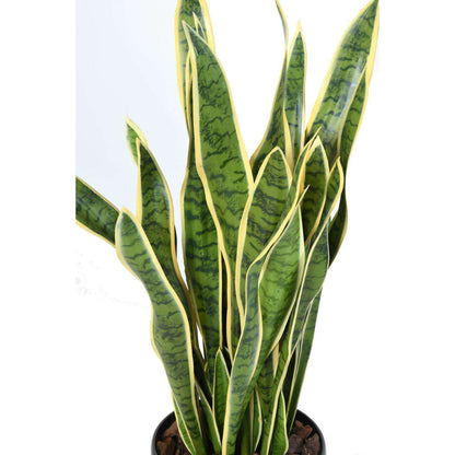 Plante artificielle Sansevieria large - décoration d'intérieur - H.93cm vert jaune