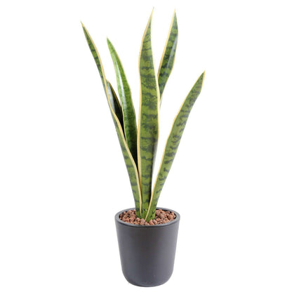 Plante artificielle Sansevieria piquet - succulente pour intérieur - H. 60cm vert jaune