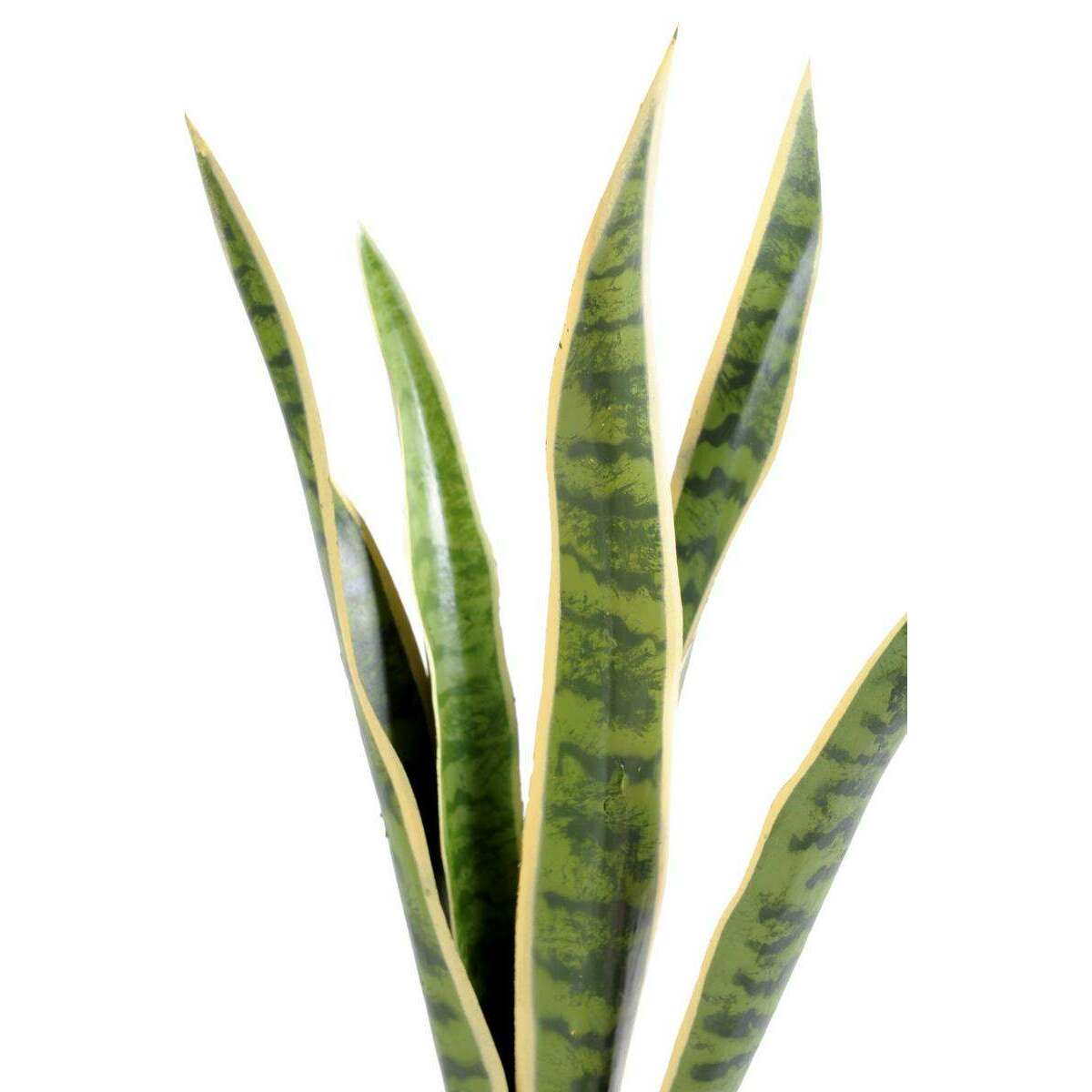 Plante artificielle Sansevieria piquet - succulente pour intérieur - H. 60cm vert jaune