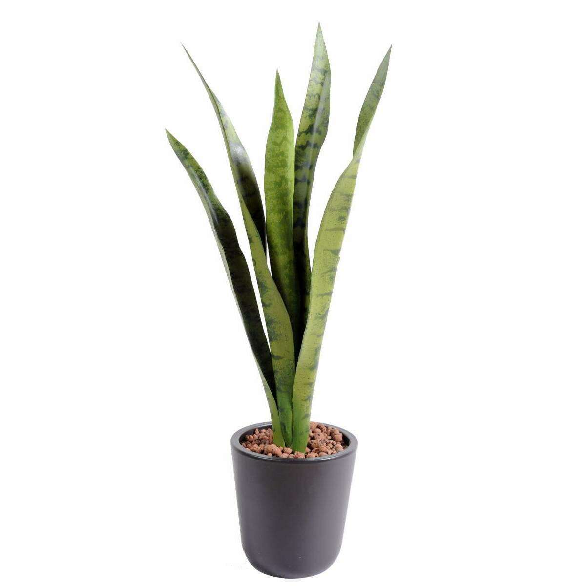 Plante artificielle Sansevieria piquet - succulente pour intérieur - H. 60cm vert