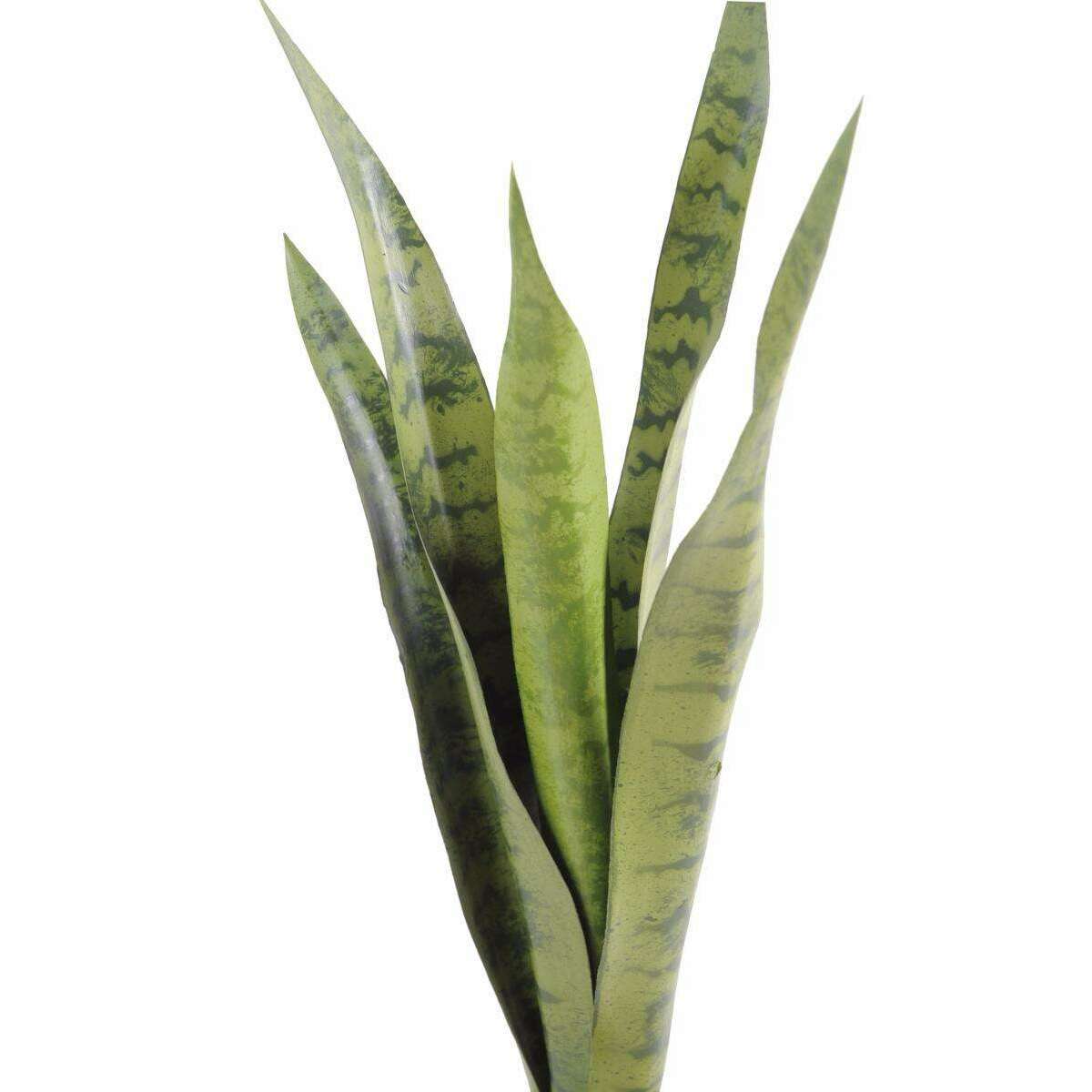 Plante artificielle Sansevieria piquet - succulente pour intérieur - H. 60cm vert