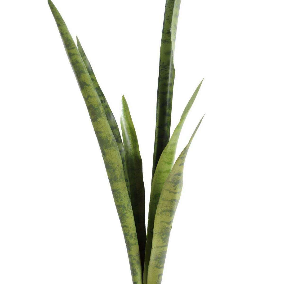 Plante artificielle Sansevieria piquet - succulente pour intérieur - H.105cm vert