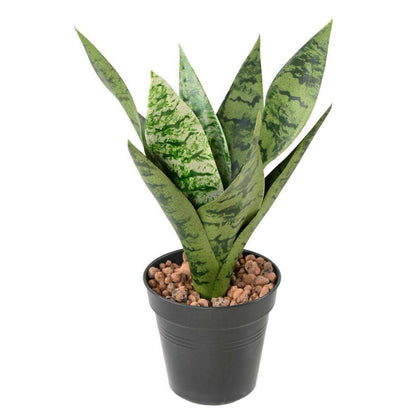 Plante artificielle Sansevieria piquet - succulente pour intérieur - H.35cm vert clair