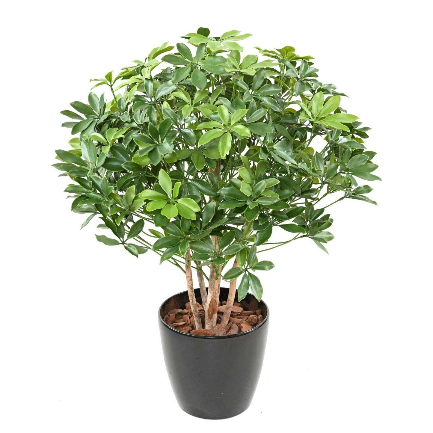 Plante artificielle Schefflera buisson plastique UV - intérieur extérieur - H.90cm