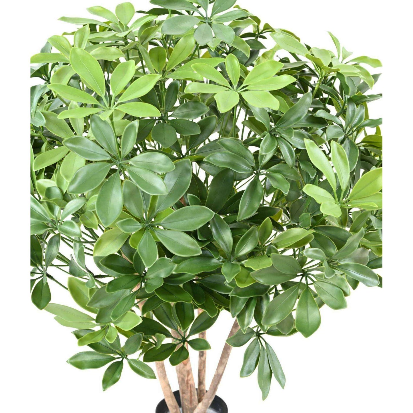 Plante artificielle Schefflera buisson plastique UV - intérieur extérieur - H.90cm