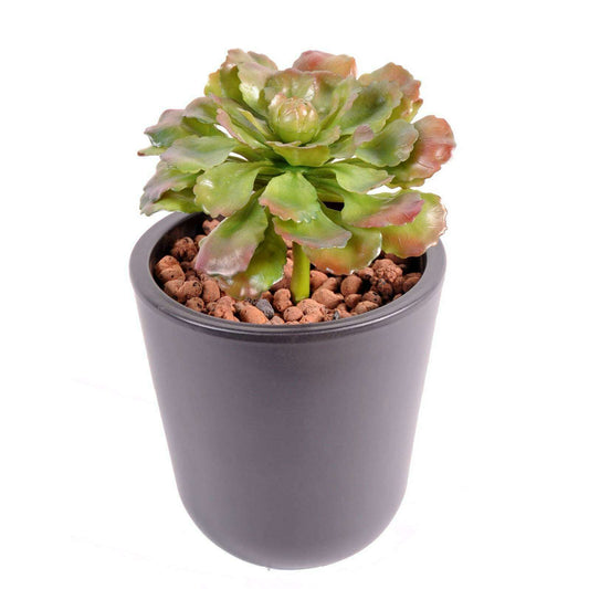 Plante artificielle Succulente - Plante grasse d'intérieur - H.19cm