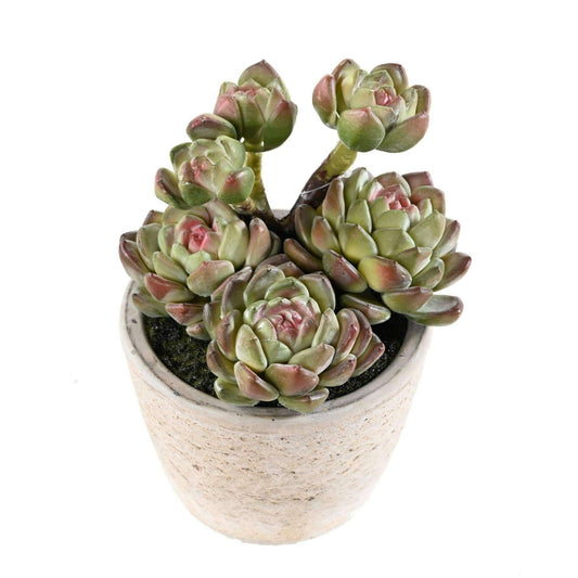 Plante artificielle succulente en pot - plante synthétique d'intérieur - H.18cm