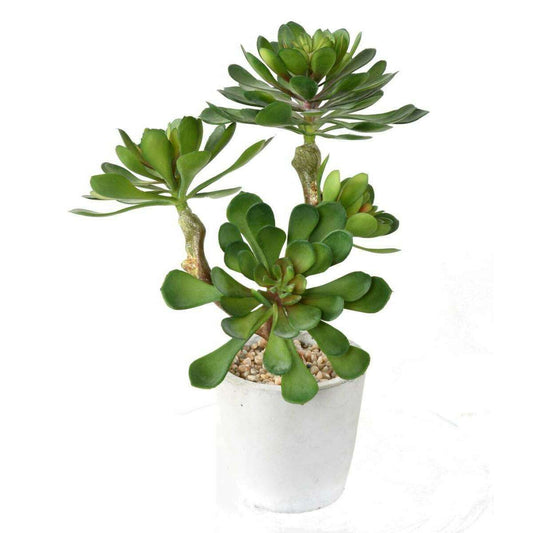 Plante artificielle succulente en pot - plante synthétique d'intérieur - H.30cm