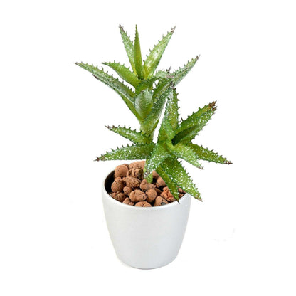 Plante artificielle Succulente Mini - cactus artificiel intérieur - H.18cm