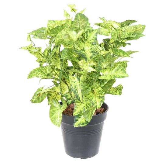 Plante artificielle Syngonium en piquet - feuillage pour intérieur - H.40cm panaché