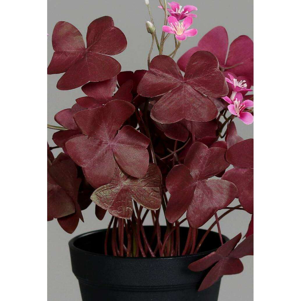 Plante artificielle Trèfle fleuri en pot - décoration d'intérieur - H.32cm bordeaux