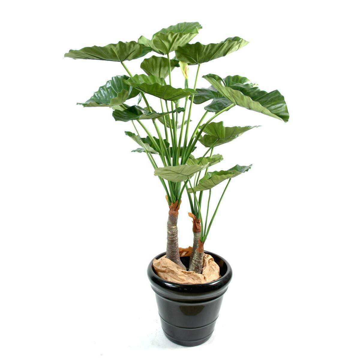 Plante artificielle tropicale Alocasia - décoration d'intérieur - H.120cm