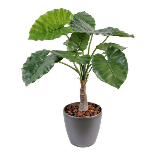 Plante artificielle tropicale Alocasia - décoration d'intérieur - H.80cm