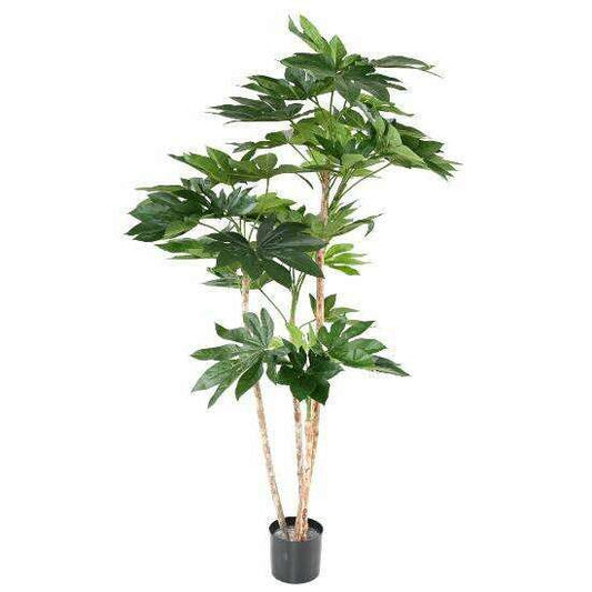 Plante artificielle tropicale Fatsia Japonica - décoration d'intérieur - H.150cm