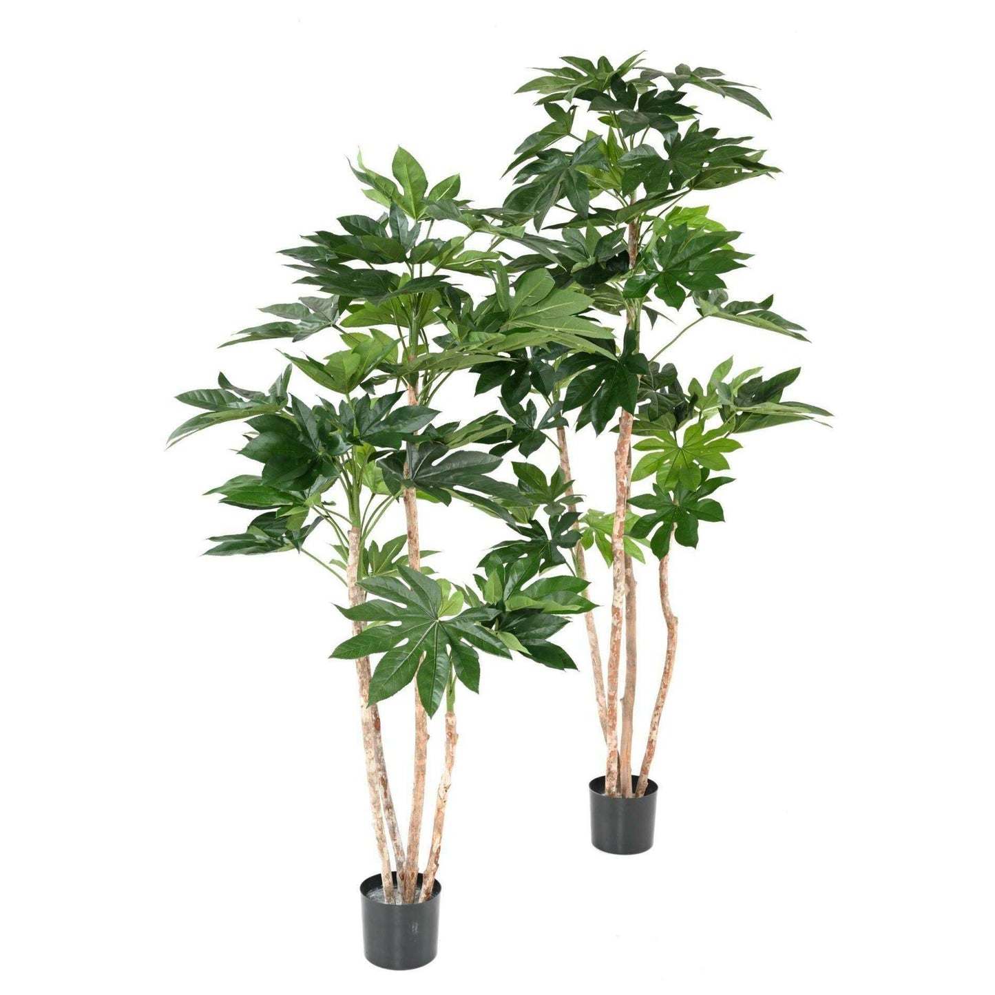 Plante artificielle tropicale Fatsia Japonica - décoration d'intérieur - H.150cm