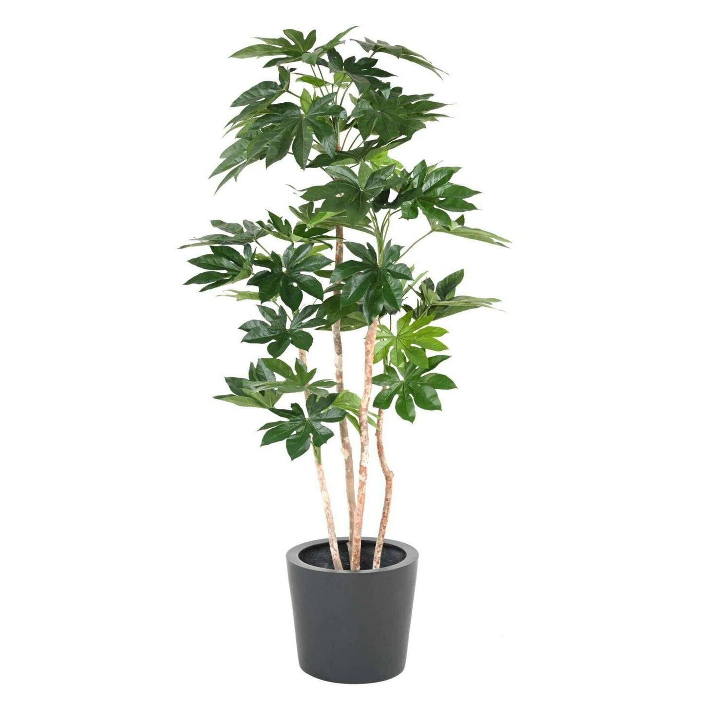 Plante artificielle tropicale Fatsia Japonica - décoration d'intérieur - H.180cm