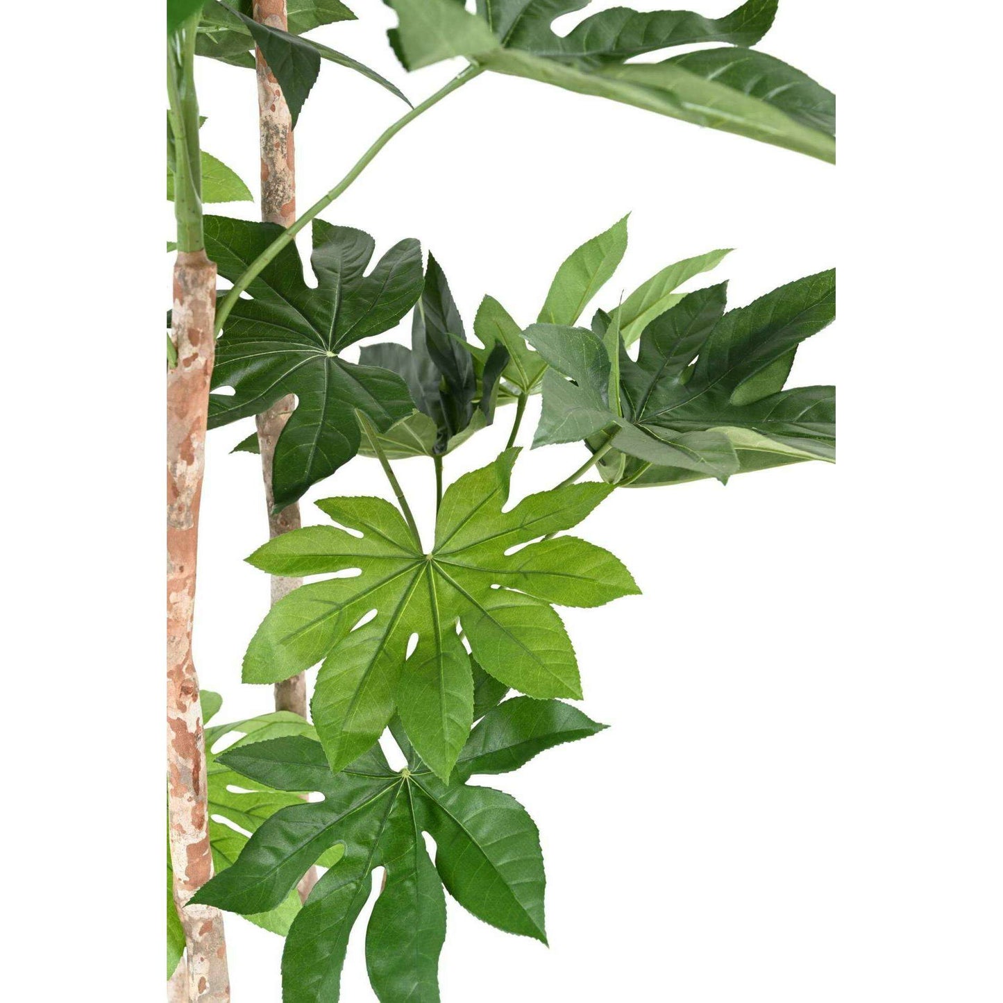 Plante artificielle tropicale Fatsia Japonica - décoration d'intérieur - H.180cm