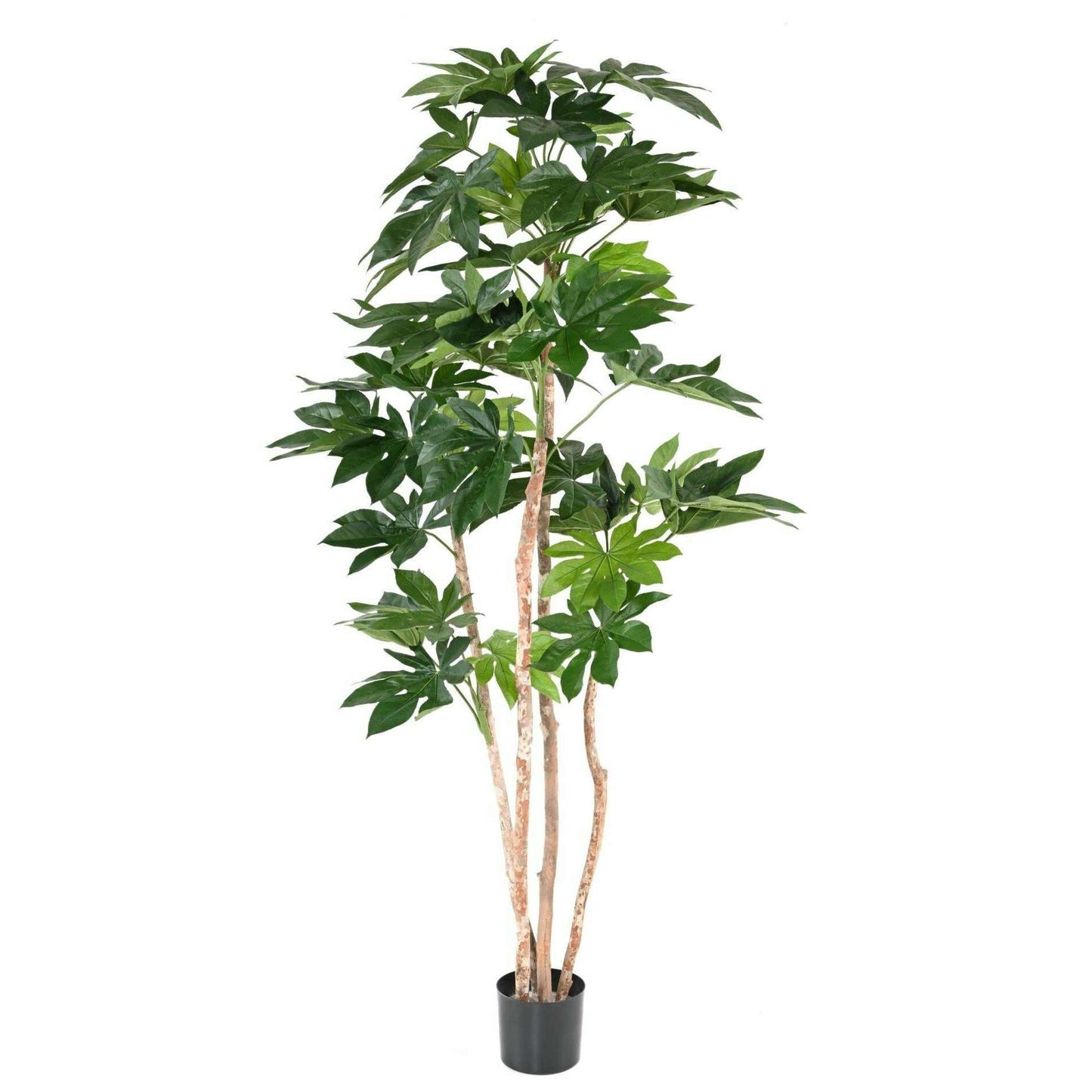 Plante artificielle tropicale Fatsia Japonica - décoration d'intérieur - H.180cm