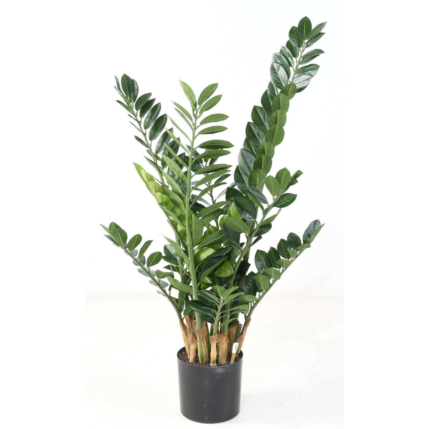 Plante artificielle verte Zamioculcas - décoration pour intérieur - H.110cm