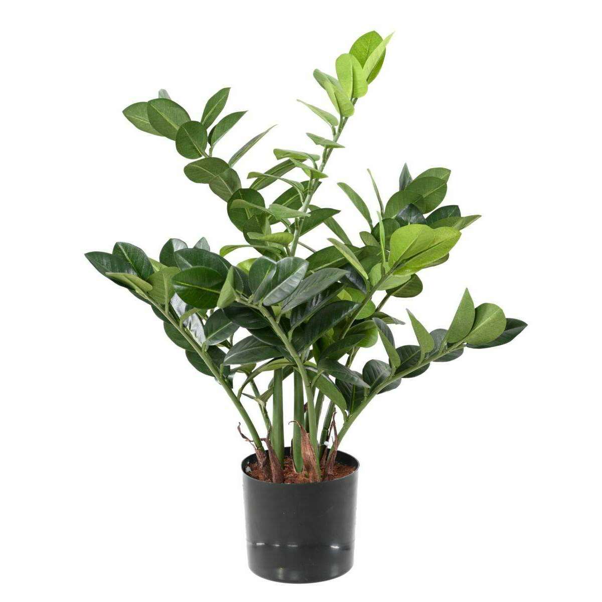 Plante artificielle verte Zamioculcas - décoration pour intérieur - H.60cm