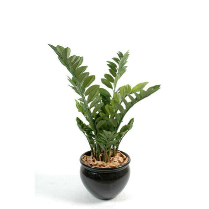 Plante artificielle verte Zamioculcas - décoration pour intérieur - H.90cm