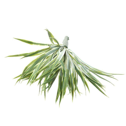 Plante artificielle Yucca Golden en piquet - intérieur extérieur - H.35cm