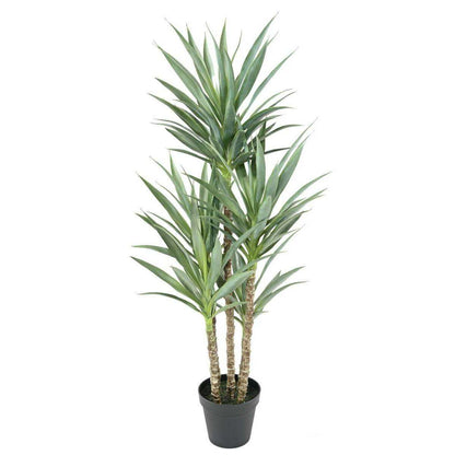 Plante artificielle Yucca Rapier 5 tiges - décoration pour intérieur - H.150cm