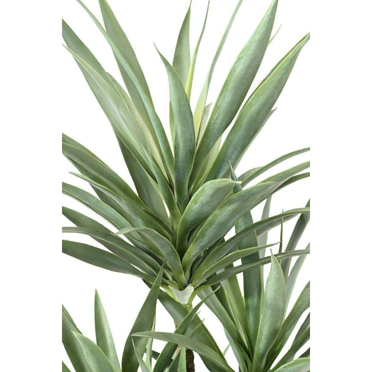 Plante artificielle Yucca Rapier 5 tiges - décoration pour intérieur - H.150cm