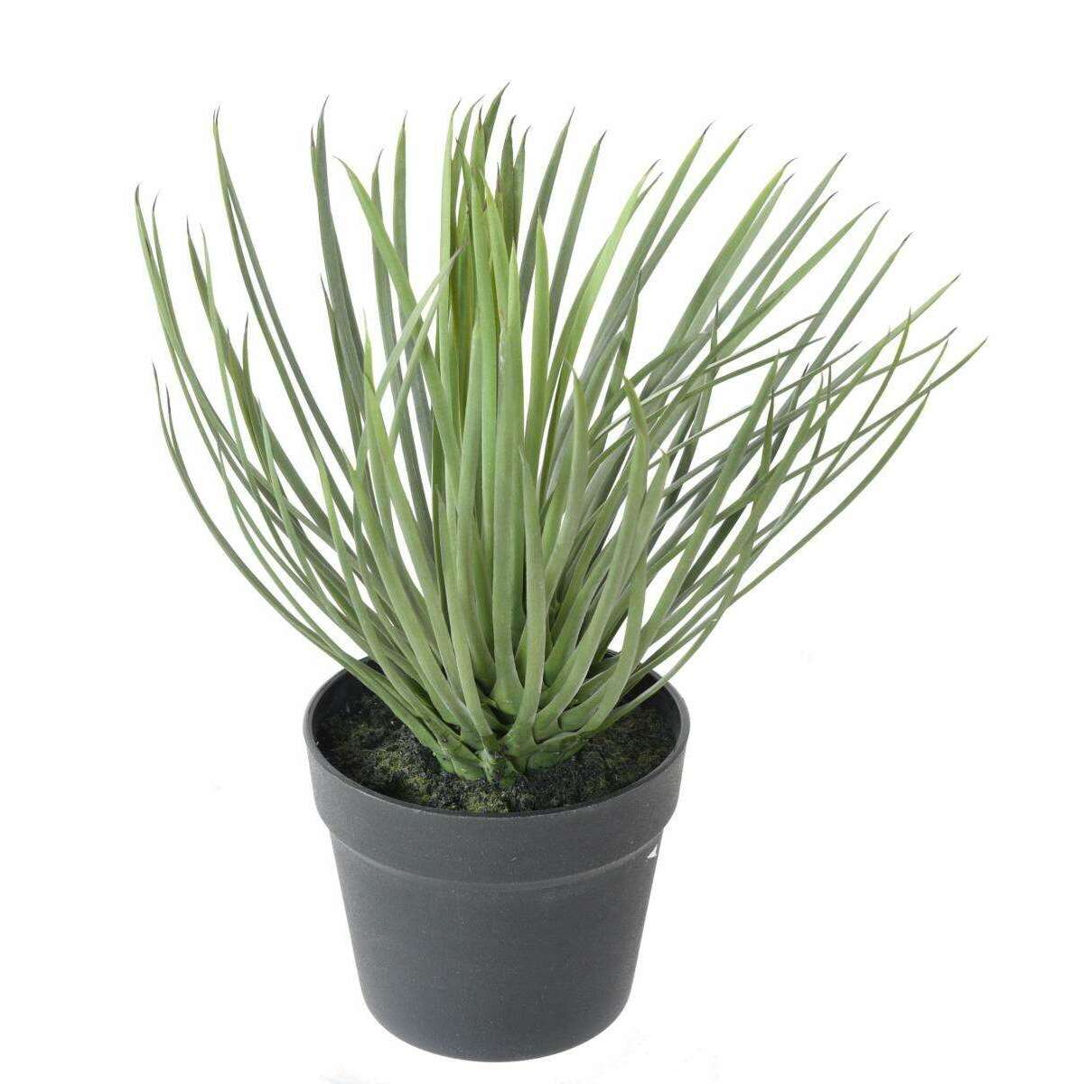 Plante artificielle Yucca Rostrata - intérieur extérieur - H.40cm vert