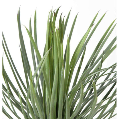 Plante artificielle Yucca Rostrata - intérieur extérieur - H.40cm vert