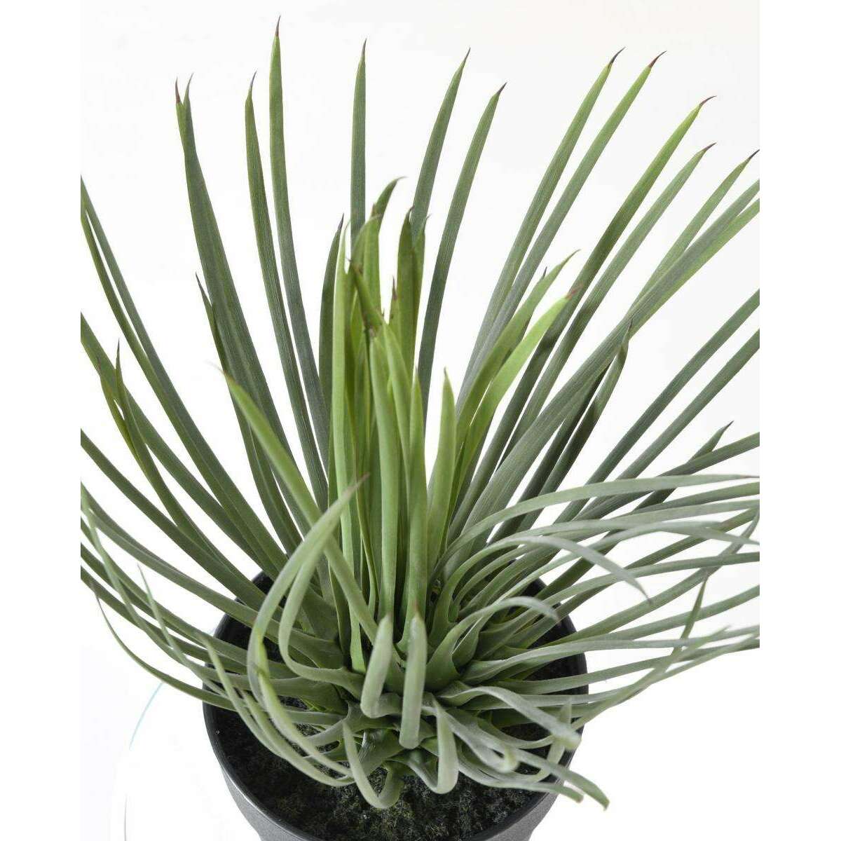 Plante artificielle Yucca Rostrata - intérieur extérieur - H.40cm vert