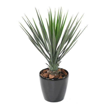 Plante artificielle Yucca Rostrata - intérieur extérieur - H.60cm vert