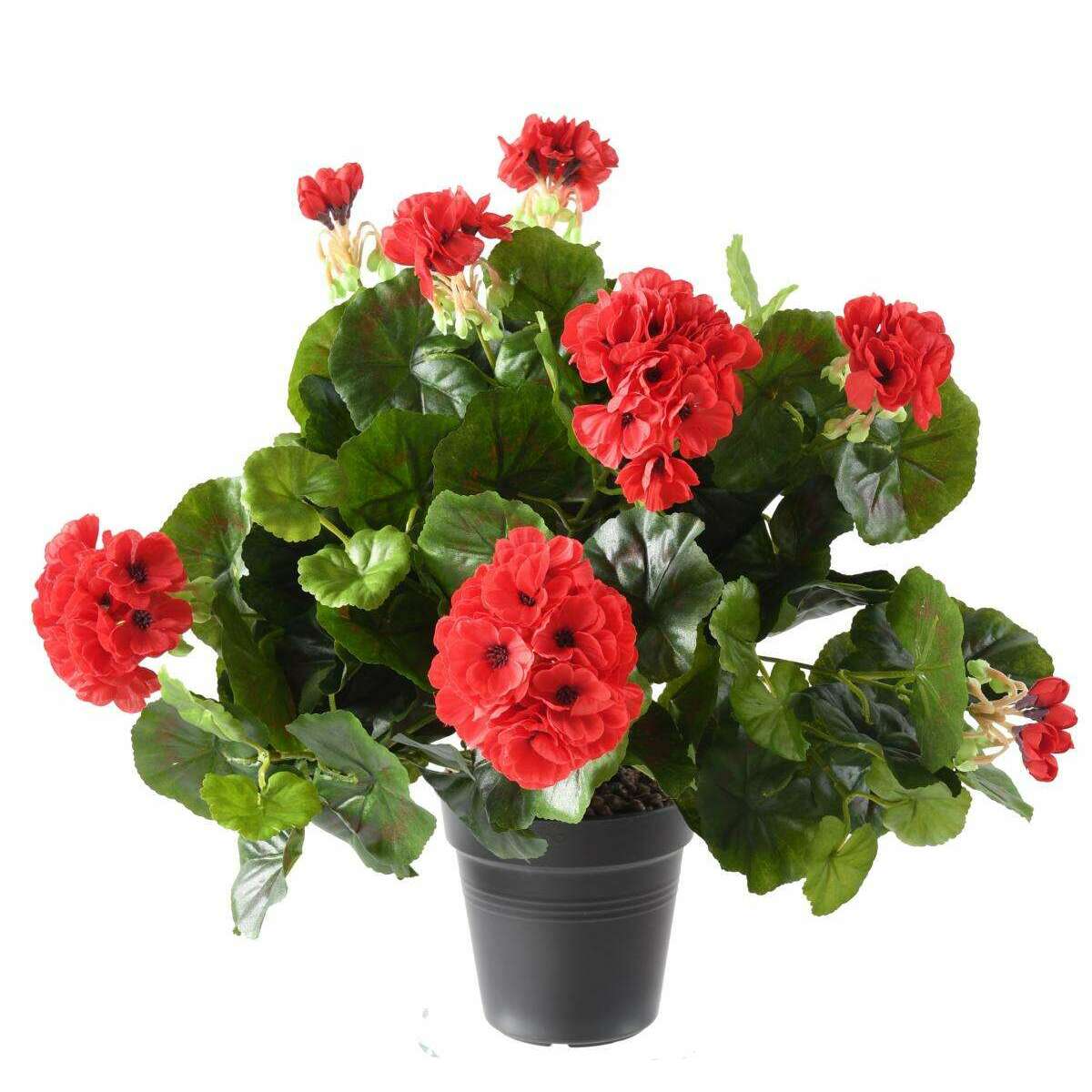 Plante fleurie artificielle - Géranium en piquet - H.35 cm rouge