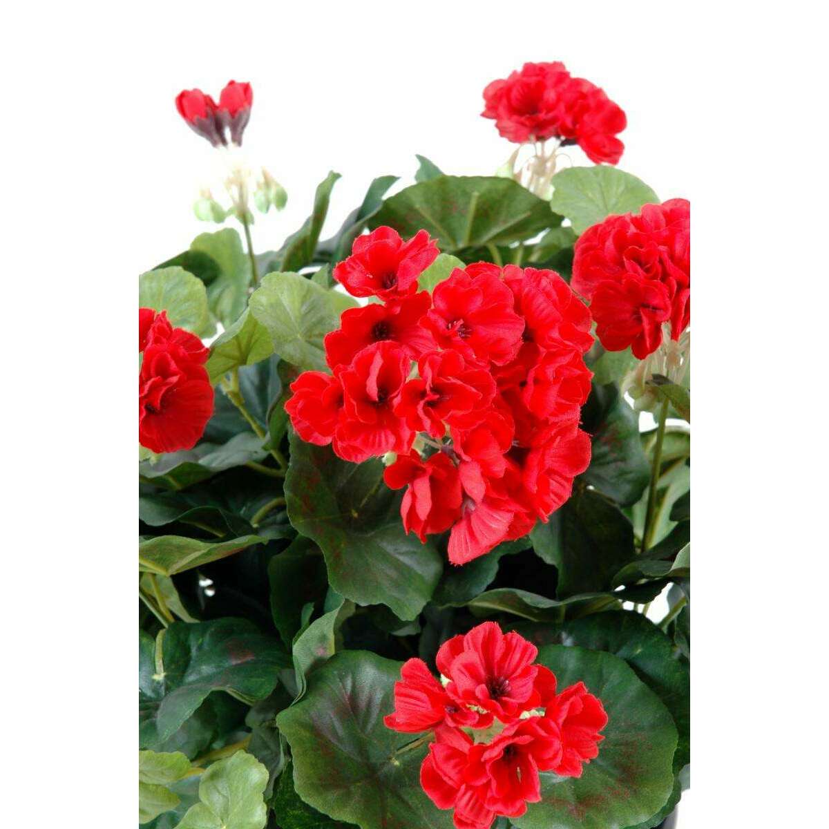 Plante fleurie artificielle - Géranium en piquet - H.35 cm rouge