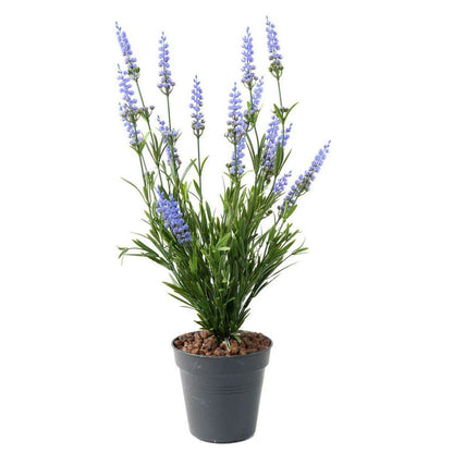 Plante fleurie artificielle Lavande en piquet - intérieur extérieur - H.52cm