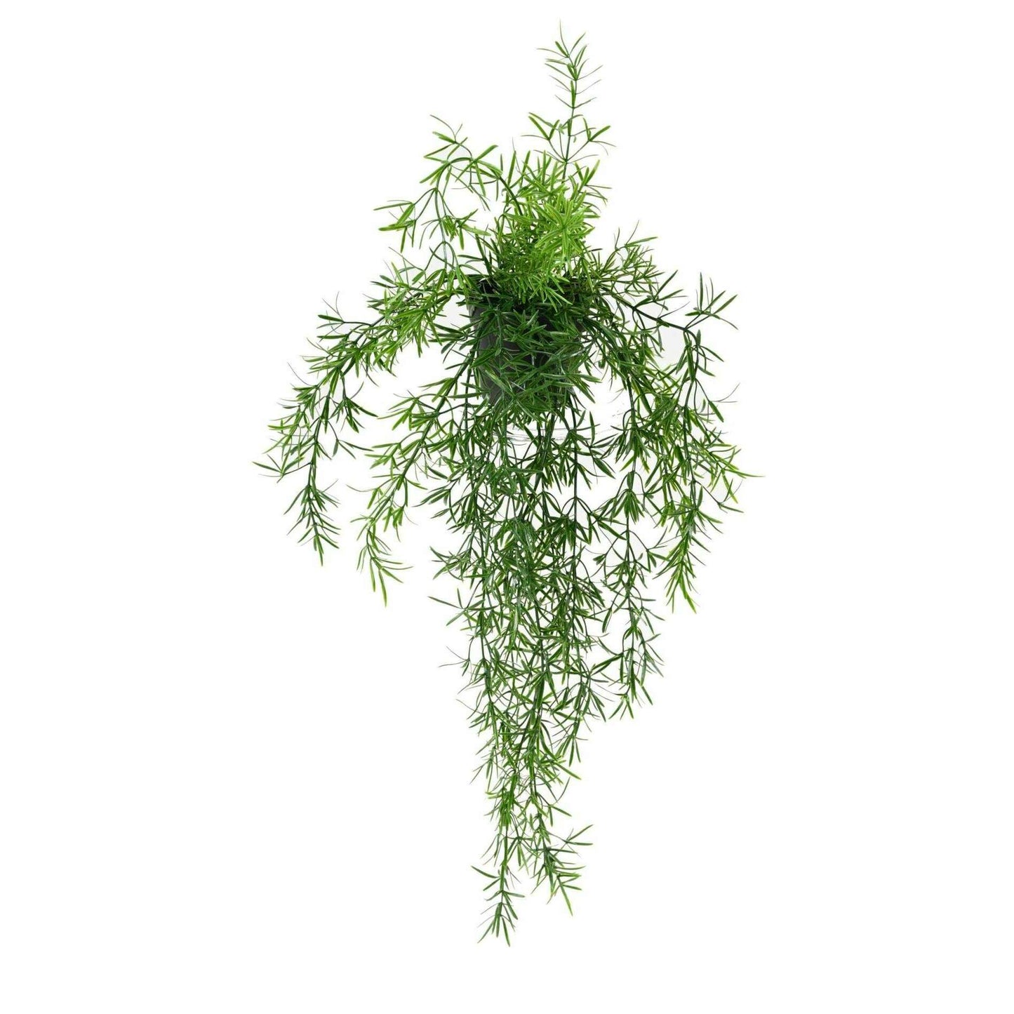 Plante retombante artificielle Asparagus en pot - intérieur extérieur - H.55cm