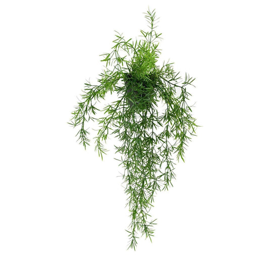 Plante retombante artificielle Asparagus en pot - intérieur extérieur - H.55cm