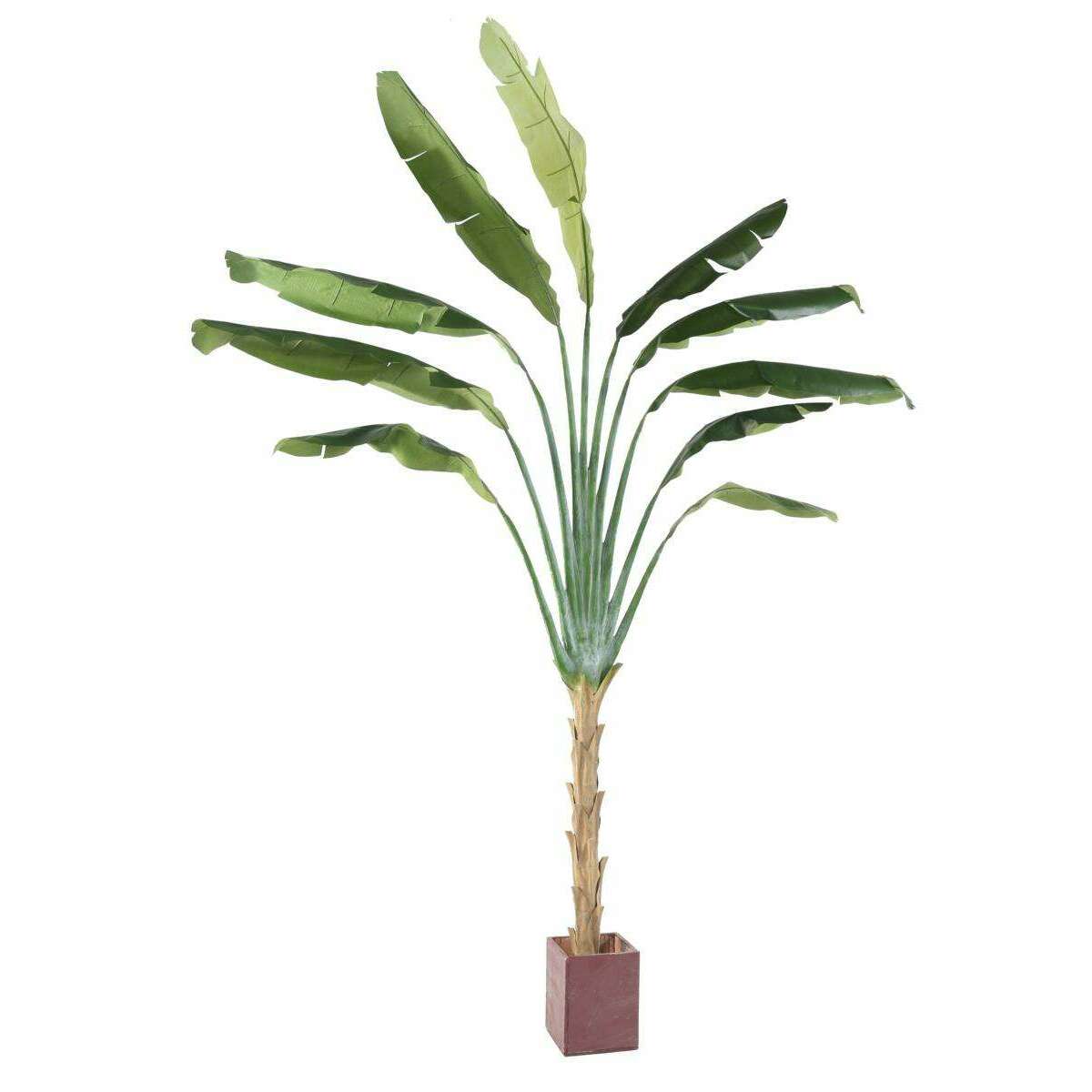 Plante tropicale artificielle Arbre du voyageur - plante intérieur - H.350cm