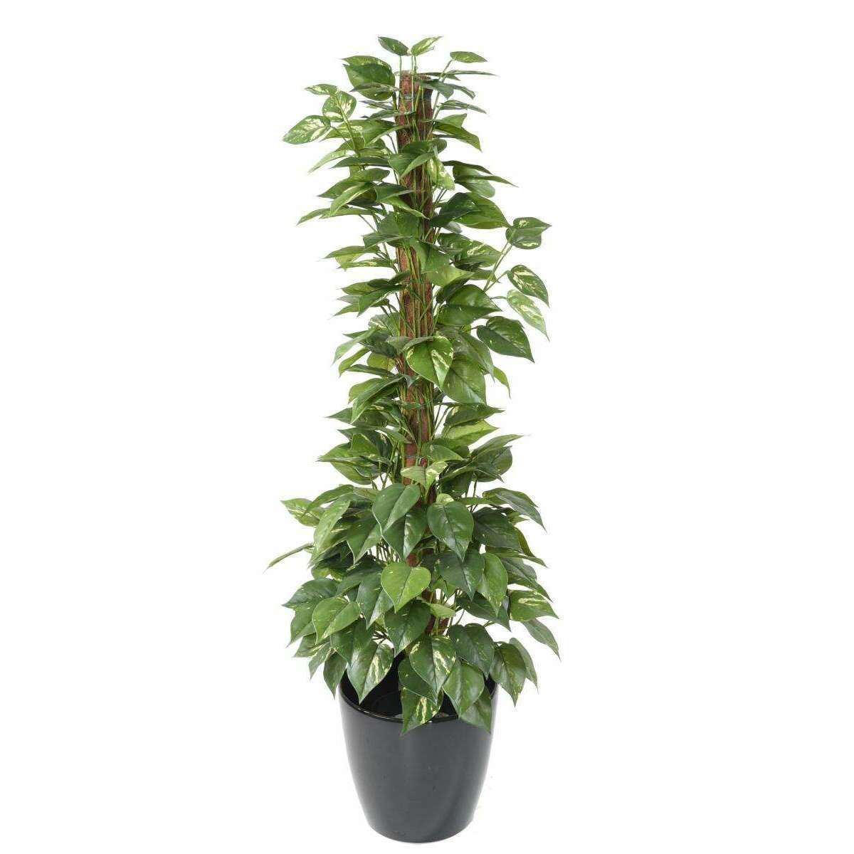 Plante verte artificielle Pothos tuteur - plante d'intérieur - H.130cm