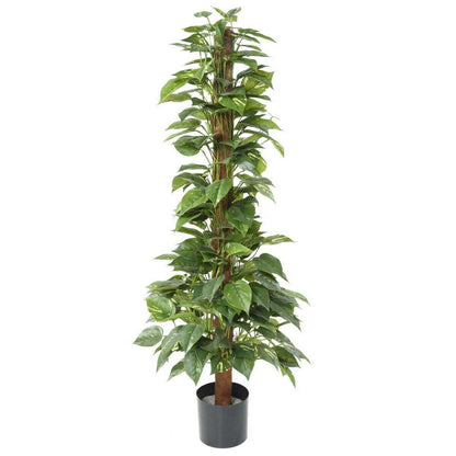 Plante verte artificielle Pothos tuteur - plante d'intérieur - H.130cm