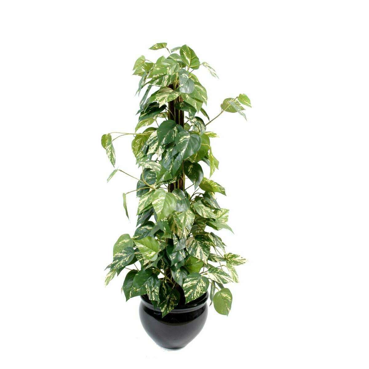 Plante verte artificielle Pothos tuteur coco - plante d'intérieur - H.100cm vert