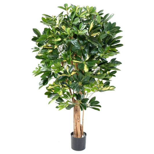 Plante verte artificielle Schefflera - décoration d'intérieur - H.110cm panaché