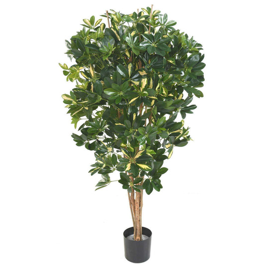 Plante verte artificielle Schefflera - décoration d'intérieur - H.150cm panaché