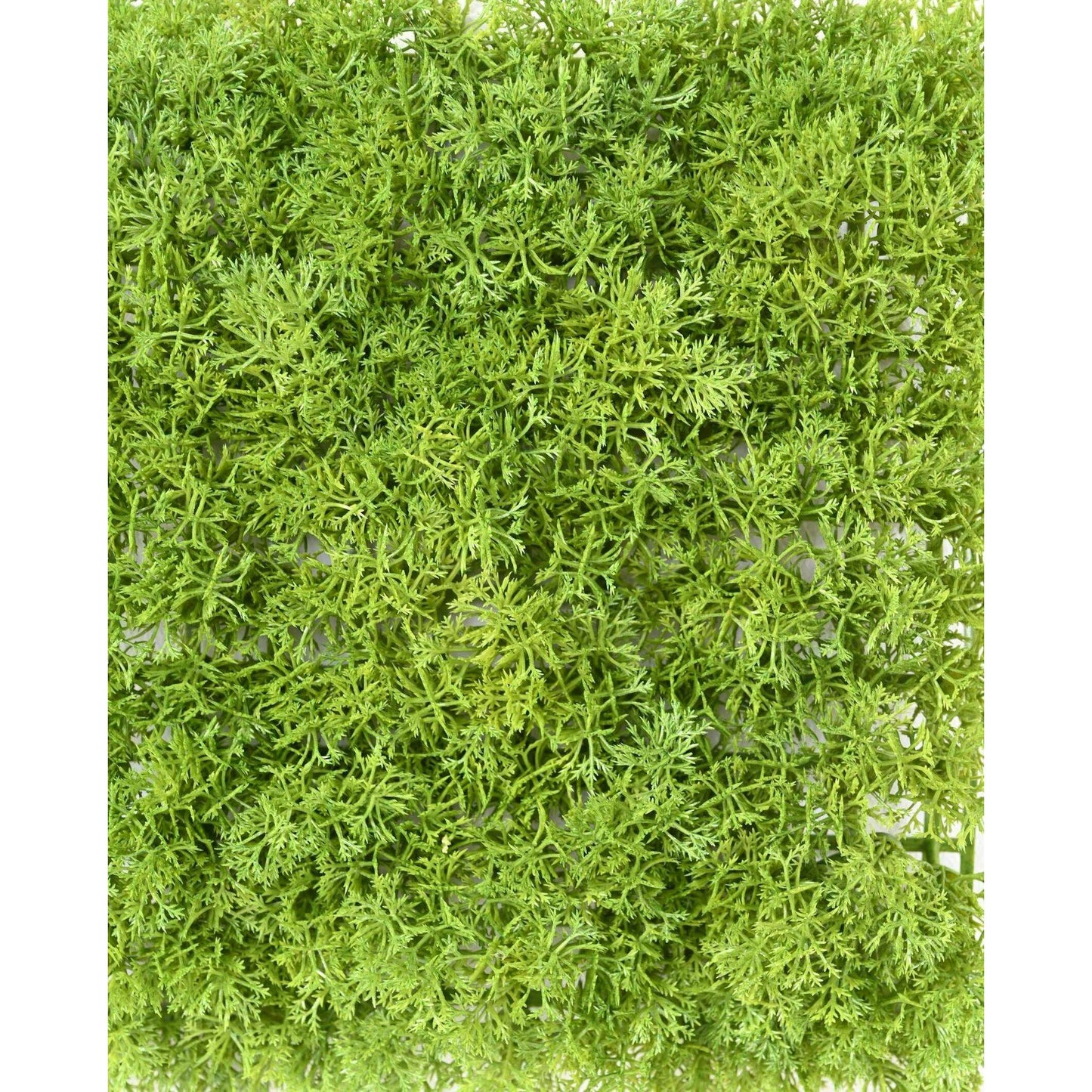 Plaque Mousse artificielle - mur végétal pour intérieur - 24x24cm vert