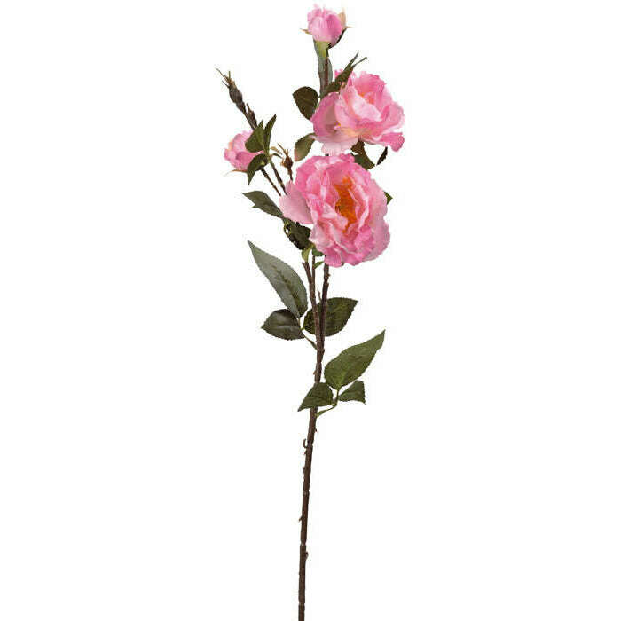 Rose ancienne rose 77cm