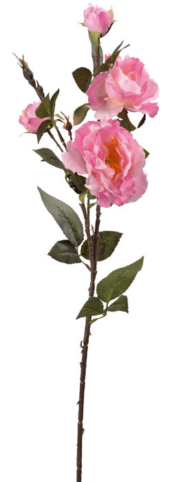 Rose ancienne rose 77cm