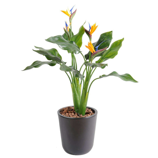 Strelitzia artificiel en piquet résistant UV - plante d'extérieur - H.50cm